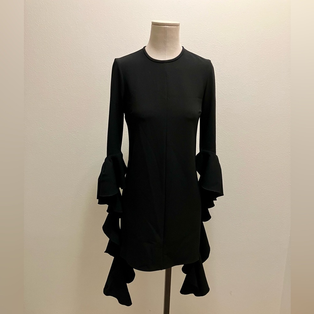 Ellery’s Kilkenny Ruffle Sleeve Mini Dress